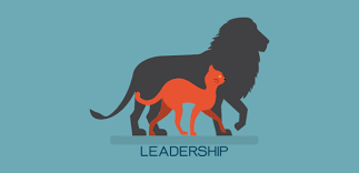Leadership 2 - Related To Leadership